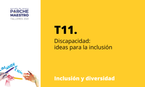T11. Discapacidad: ideas para la inclusión